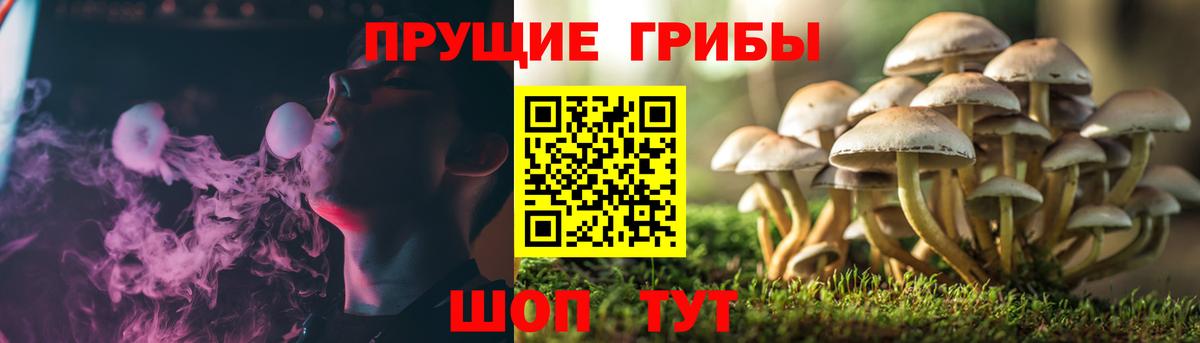 Псилоцибиновые грибы прущие грибы Дзержинский